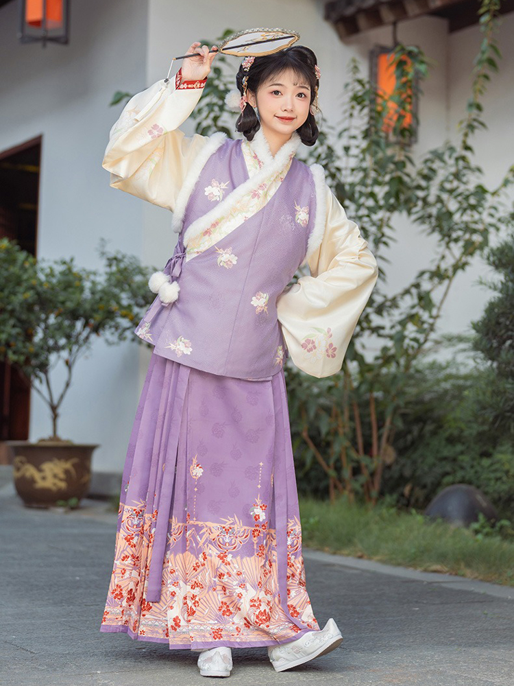 Ming Dynasty Style Hanfu Women Mamian Skirt Bijia Winter Thickened Purple Set