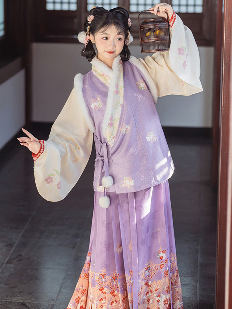 Ming Dynasty Style Hanfu Women Mamian Skirt Bijia Winter Thickened Purple Set