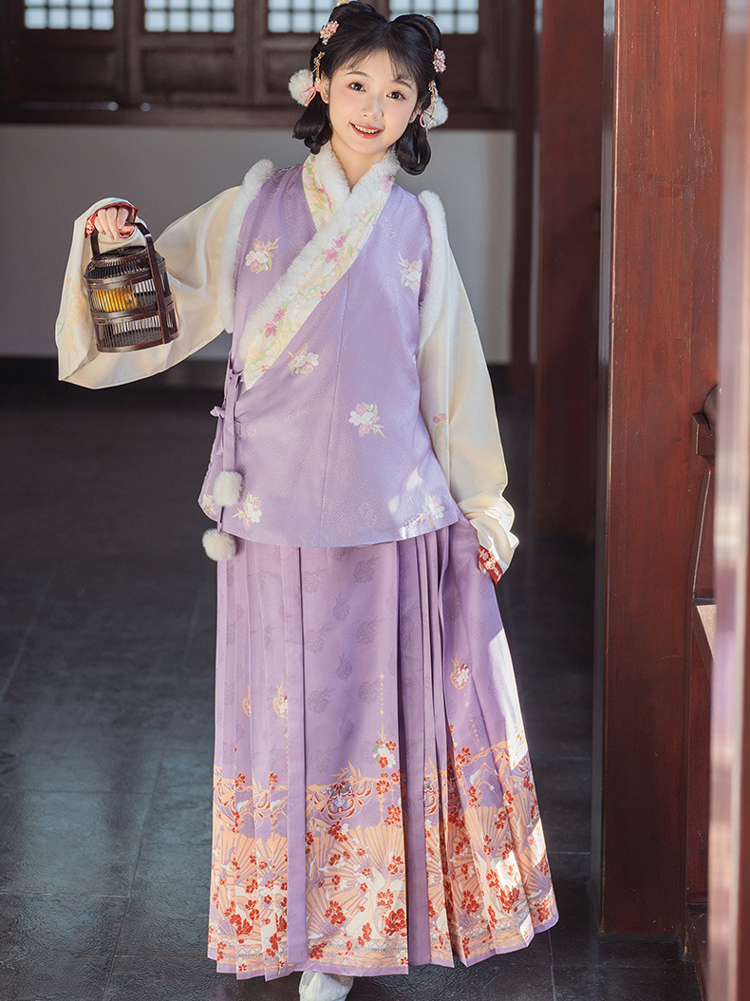 Ming Dynasty Style Hanfu Women Mamian Skirt Bijia Winter Thickened Purple Set
