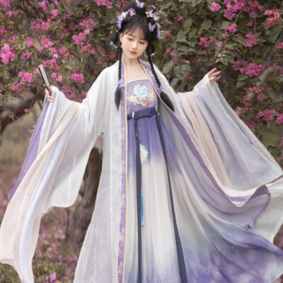 Women Spring Hanfu Tang Dynasty Hezi Skirt Ethereal Wide-Sleeve Set
