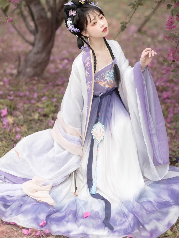 Women Spring Hanfu Tang Dynasty Hezi Skirt Ethereal Wide-Sleeve Set
