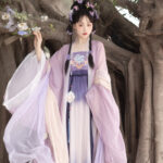 Women Spring Hanfu Tang Dynasty Hezi Skirt Ethereal Wide-Sleeve Set