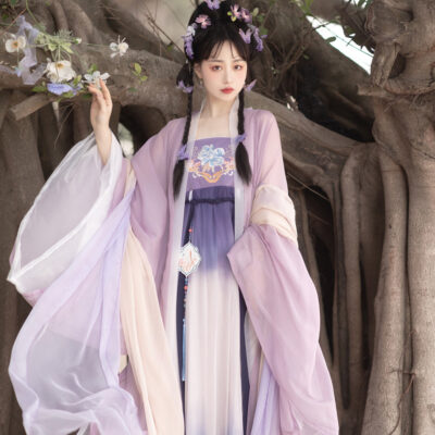 Women Spring Hanfu Tang Dynasty Hezi Skirt Ethereal Wide-Sleeve Set