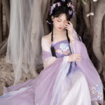 Women Spring Hanfu Tang Dynasty Hezi Skirt Ethereal Wide-Sleeve Set