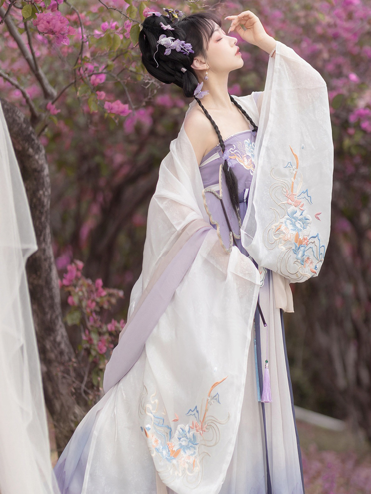Women Spring Hanfu Tang Dynasty Hezi Skirt Ethereal Wide-Sleeve Set