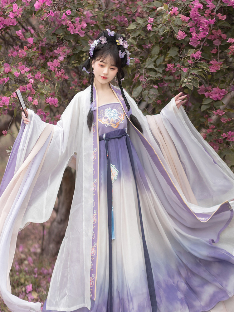 Women Spring Hanfu Tang Dynasty Hezi Skirt Ethereal Wide-Sleeve Set