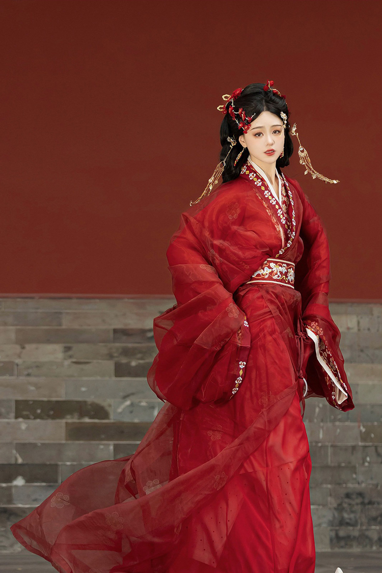 Women Warring States Period Hanfu Zhiju Long Red Dress Martial Arts Style