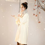 Women Winter Hanfu Song Dynasty Style Thickened Set