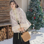 Women Winter Mamian Aoqun Set Casual Ming Dynasty Hanfu