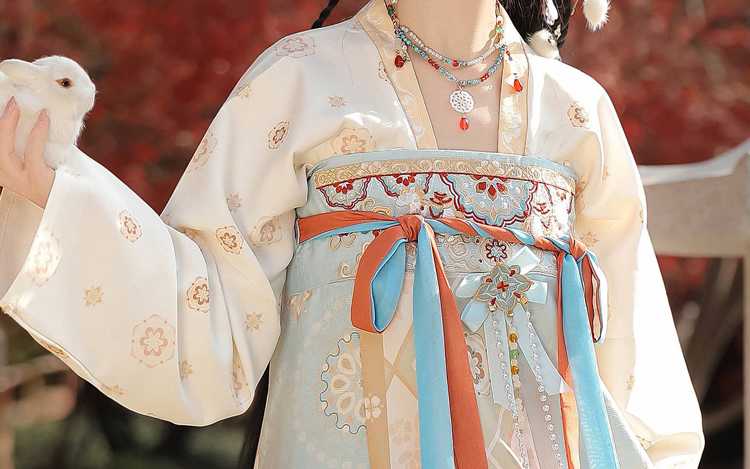 Women Winter Tang Dynasty Hanfu Qixiong Skirt Set Thickened New Year Attire