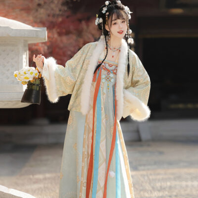 Women Winter Tang Dynasty Hanfu Qixiong Skirt Set Thickened New Year Attire