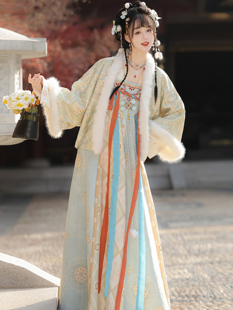 Women Winter Tang Dynasty Hanfu Qixiong Skirt Set Thickened New Year Attire