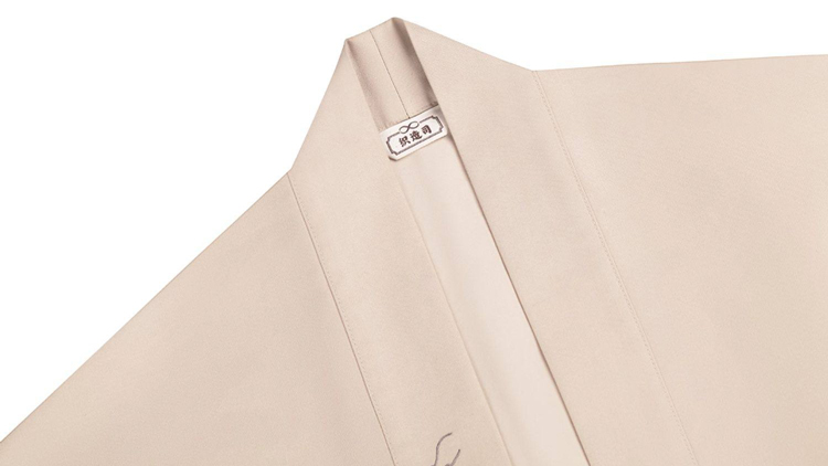 Fashionable Womemn Hanfu Commuter Wear: Modernized Song Dynasty Attire