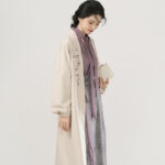 Fashionable Womemn Hanfu Commuter Wear: Modernized Song Dynasty Attire