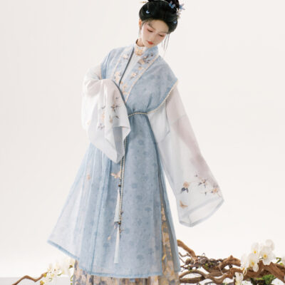Ming Dynasty Hanfu Set Long Bijia Elegant Mamian Qun