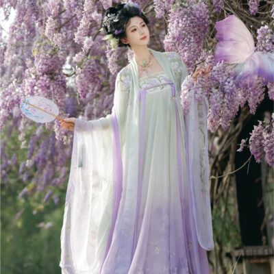 Spring Hanfu Women's Long Tang Dynasty Style Wide-Sleeved Outer Garment with Qixiong Skirt