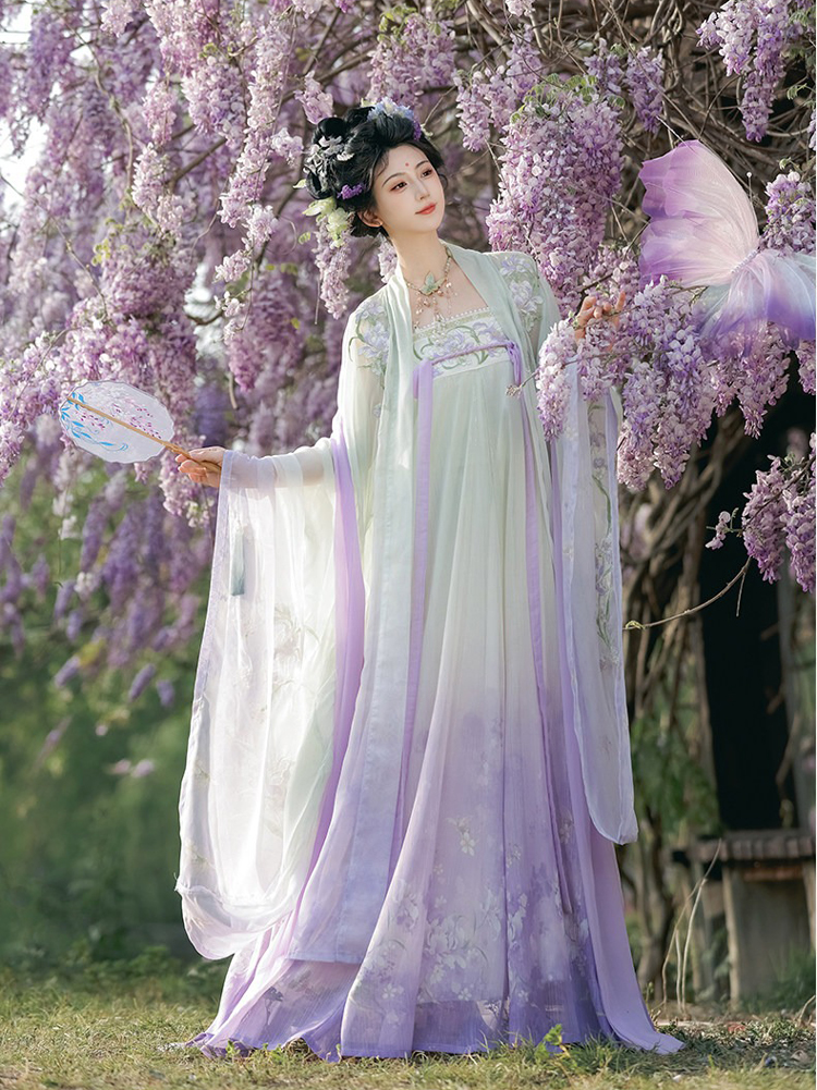 Spring Hanfu Women's Long Tang Dynasty Style Wide-Sleeved Outer Garment with Qixiong Skirt