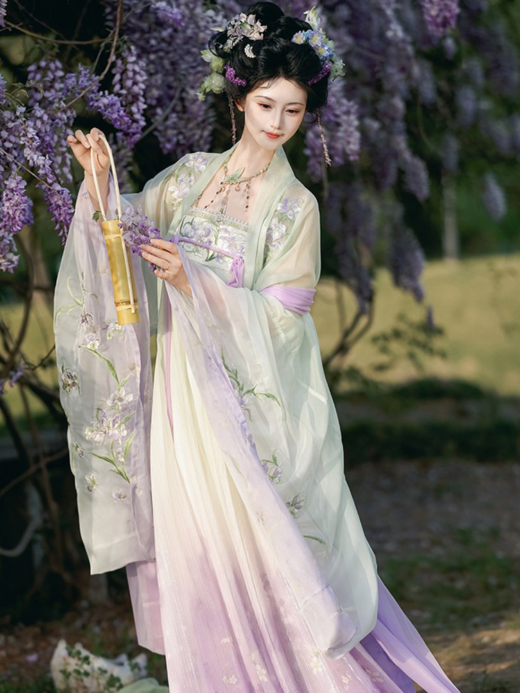 Spring Hanfu Women's Long Tang Dynasty Style Wide-Sleeved Outer Garment with Qixiong Skirt