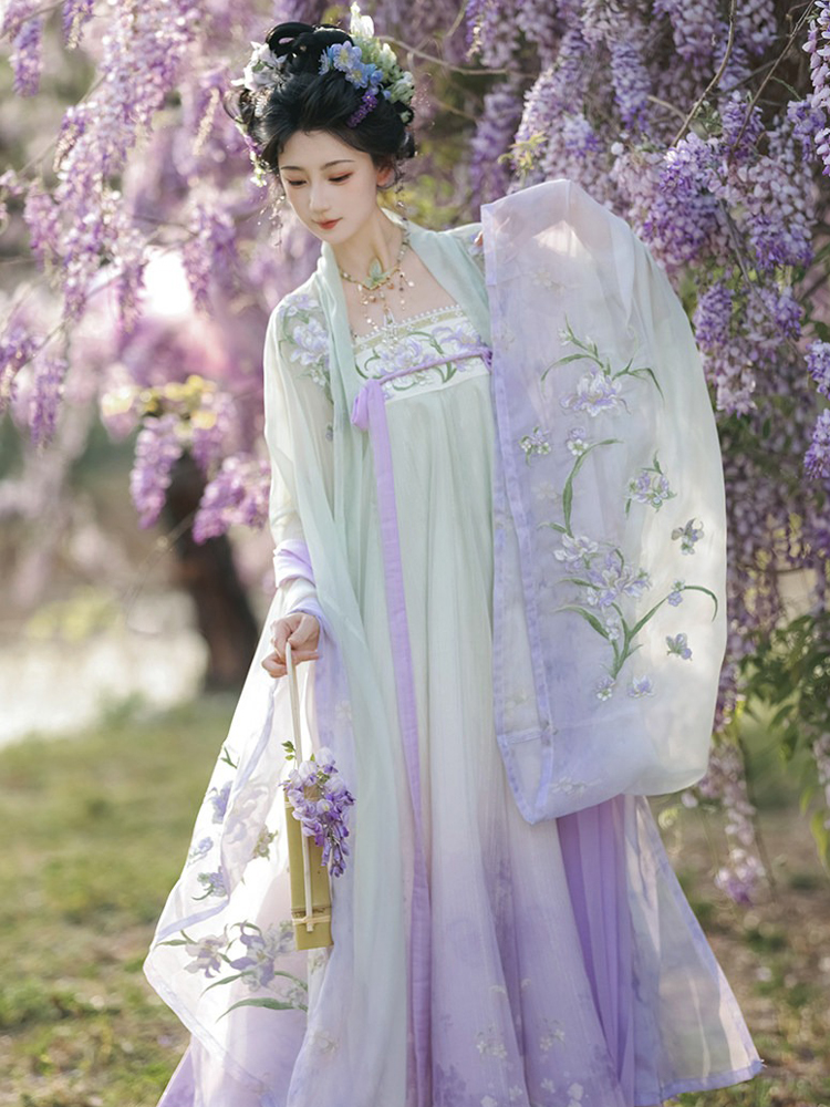 Spring Hanfu Women's Long Tang Dynasty Style Wide-Sleeved Outer Garment with Qixiong Skirt