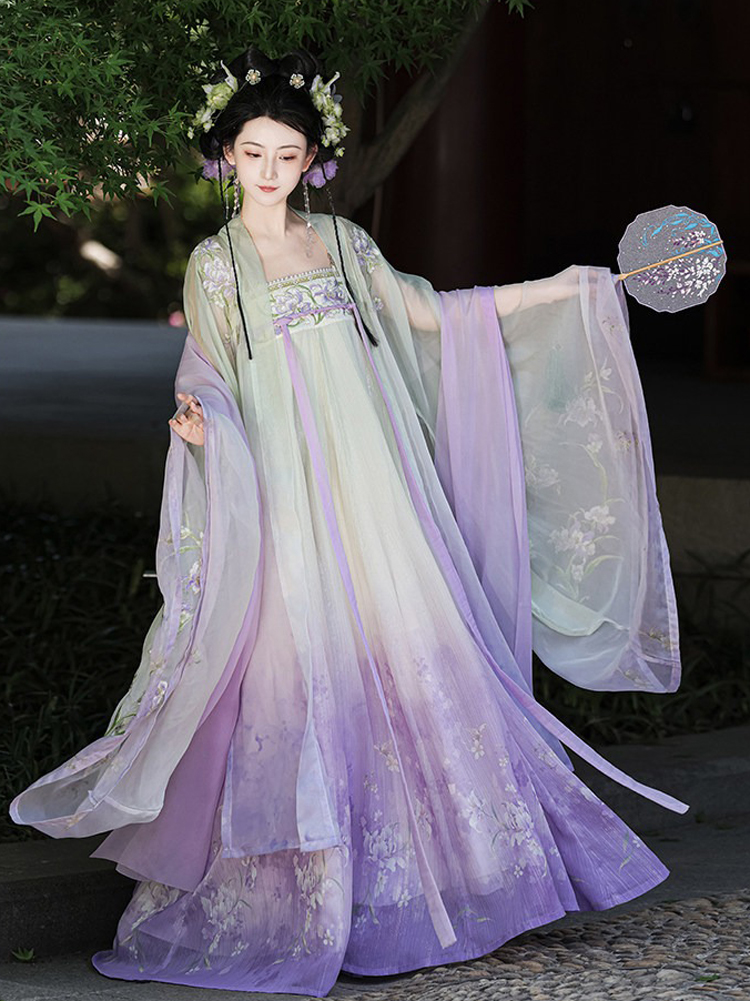 Spring Hanfu Women's Long Tang Dynasty Style Wide-Sleeved Outer Garment with Qixiong Skirt