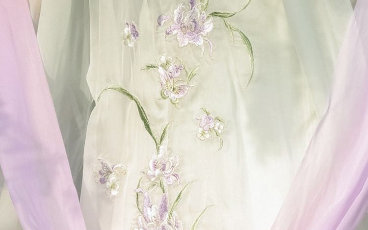 Spring Hanfu Women's Long Tang Dynasty Style Wide-Sleeved Outer Garment with Qixiong Skirt