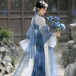 Spring Women Hanfu Tang-Style Qixiong Shanqun Ethereal Daily Set
