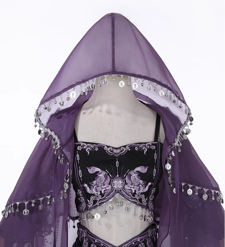 Classic Ladies Hanfu Tianzhu Princess Exotic Style Cosplay Attire