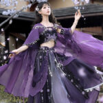 Classic Ladies Hanfu Tianzhu Princess Exotic Style Cosplay Attire