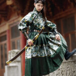 Ming Dynasty Feiyu Fu Couple Wuxia Set Tieli Clothing