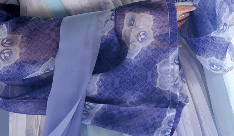 Tang Dynasty Inspired Women's Qixiong Ruqun Blue-and-White Porcelain Style Ethereal Ensemble