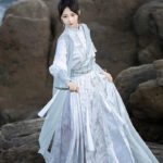 Women Martial Arts Set Flowing Knight Ming Dynasty M amian Qun Set