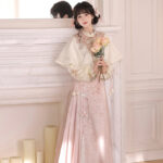 Women Spring Hanfu Ming Dynasty Style Pink Mamian Skirt
