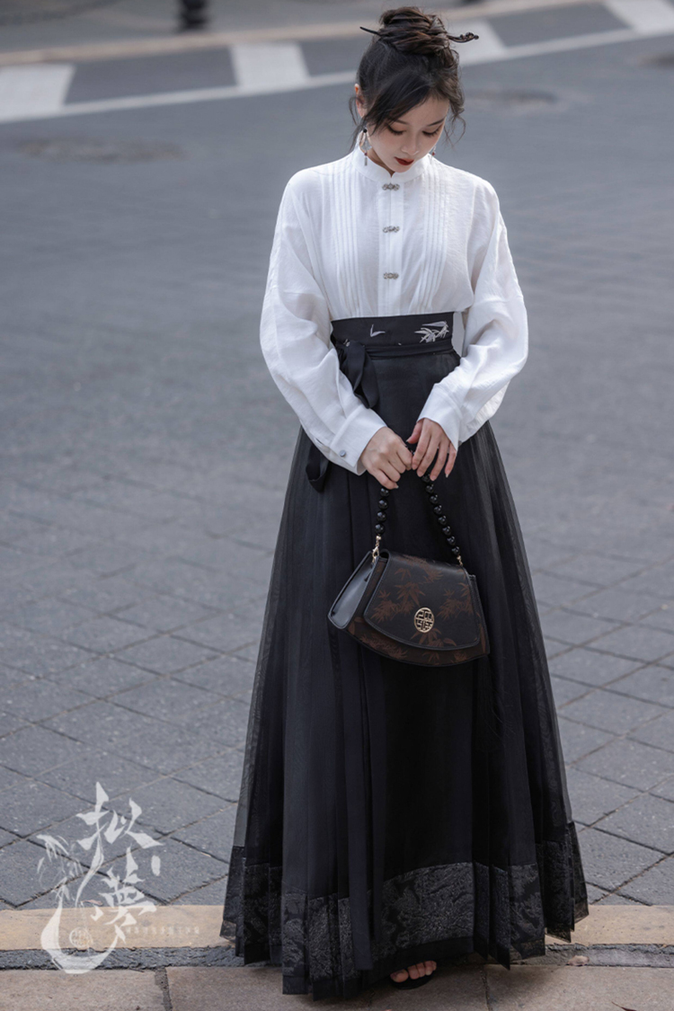 Everyday Women's Ming Dynasty Hanfu Mamian Skirt Fashionable Retro Set