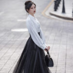 Everyday Women's Ming Dynasty Hanfu Mamian Skirt Fashionable Retro Set