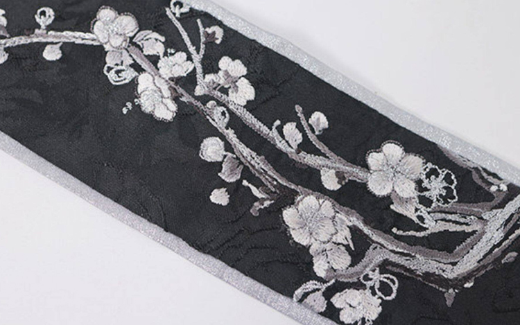 Fashionable Women Hanfu Inspired Outfit Songku for Spring