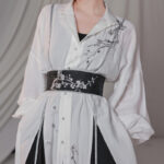 Fashionable Women Hanfu Inspired Outfit Songku for Spring
