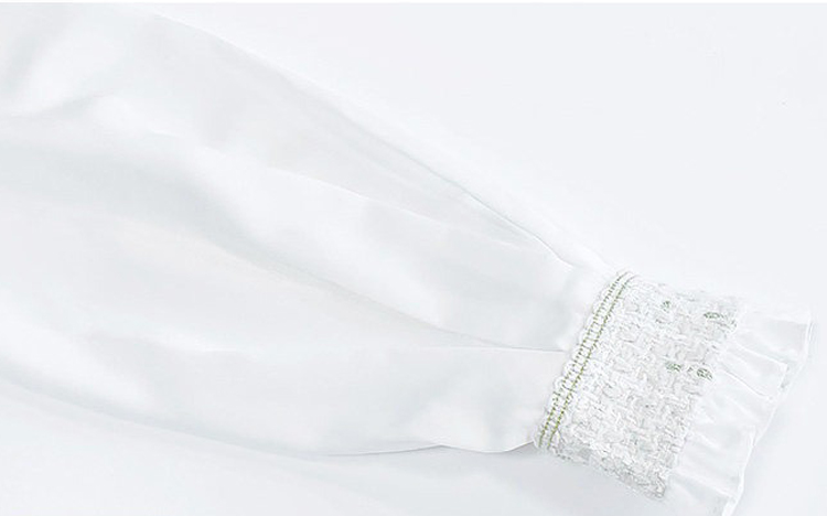 Ming Dynasty Style Hanfu Set Fashionable Pleated Skirt for Girls Everyday Spring Wear