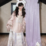 Ming Dynasty Women Hanfu Set Round-Neck Aoqun Set