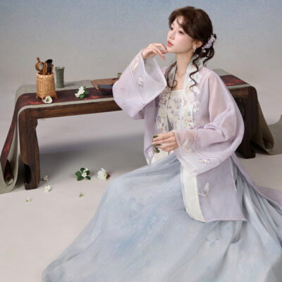 Song Dynasty Style Women Hanfu Summer Casual Retro Artistic Set