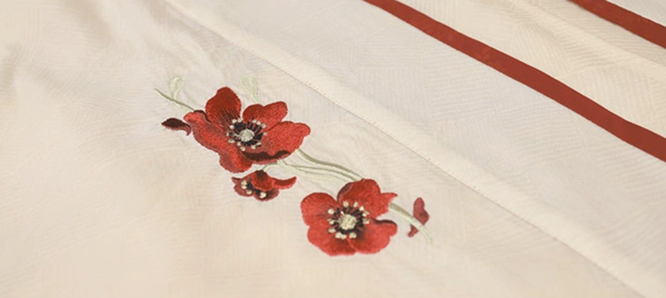 Song Dynasty Women Hanfu Red Summer Street Style