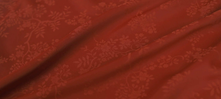 Song Dynasty Women Hanfu Red Summer Street Style