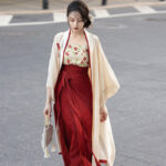 Song Dynasty Women Hanfu Red Summer Street Style