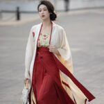 Song Dynasty Women Hanfu Red Summer Street Style