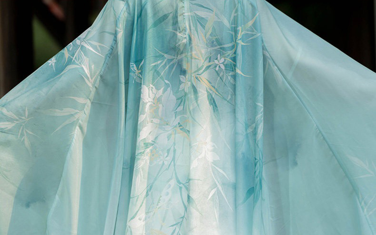 Spring Women Hanfu Qiyao Ruqun Wuxia Cape