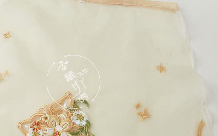 Tang Style Teenage Girl Qixiong Shanqun Modern Take on Traditional Chinese Summer Hanfu