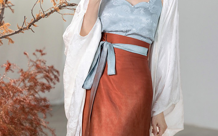 Traditional Song Dynasty Style Women Hanfu Summer Casual Skirt