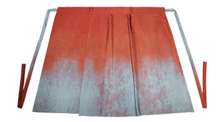Traditional Song Dynasty Style Women Hanfu Summer Casual Skirt