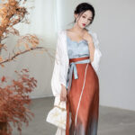 Traditional Song Dynasty Style Women Hanfu Summer Casual Skirt