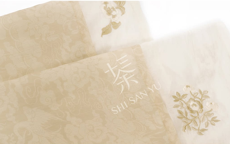 Wei-Jin Dynasty Women Hanfu Lavish High-End Set with Wide Sleeves Ruqun