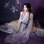 Women Long Song Dynasty Style Hanfu with Embroidered Gradient-Patterned Wide Sleeves